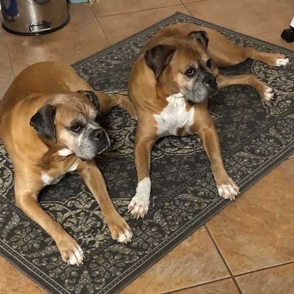 OVER 5LBS ADDITIONAL CHARGE. - Picture 7 of 9